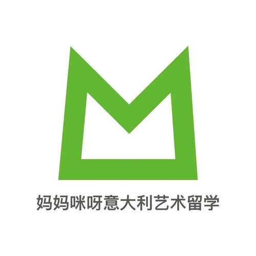 m翻譯版 都靈理工大學(xué)2020國際生 2021計劃生招生人數(shù)出爐,他來了
