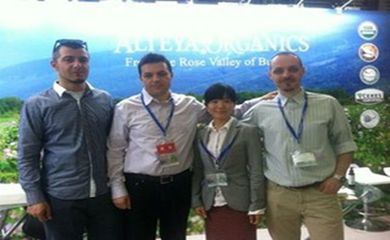 英語陪同翻譯怎么收費(fèi)_正規(guī)翻譯機(jī)構(gòu)