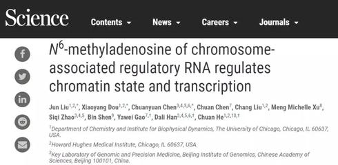 《科學(xué)》發(fā)表同濟大學(xué)高亞威教授團隊聯(lián)合研究成果