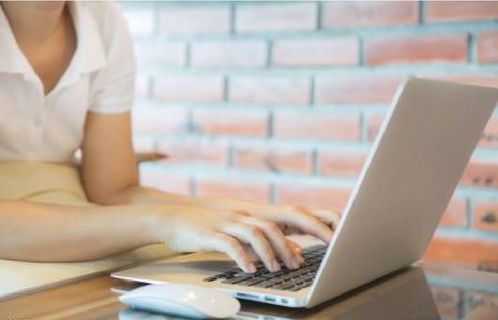 北京專業翻譯公司提供的翻譯服務概述